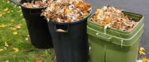 Dispose of Waste Correctly