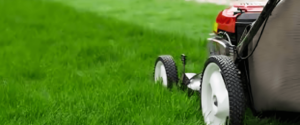 Maintain Lawn and Garden