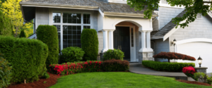 Trim Vegetation Around the House