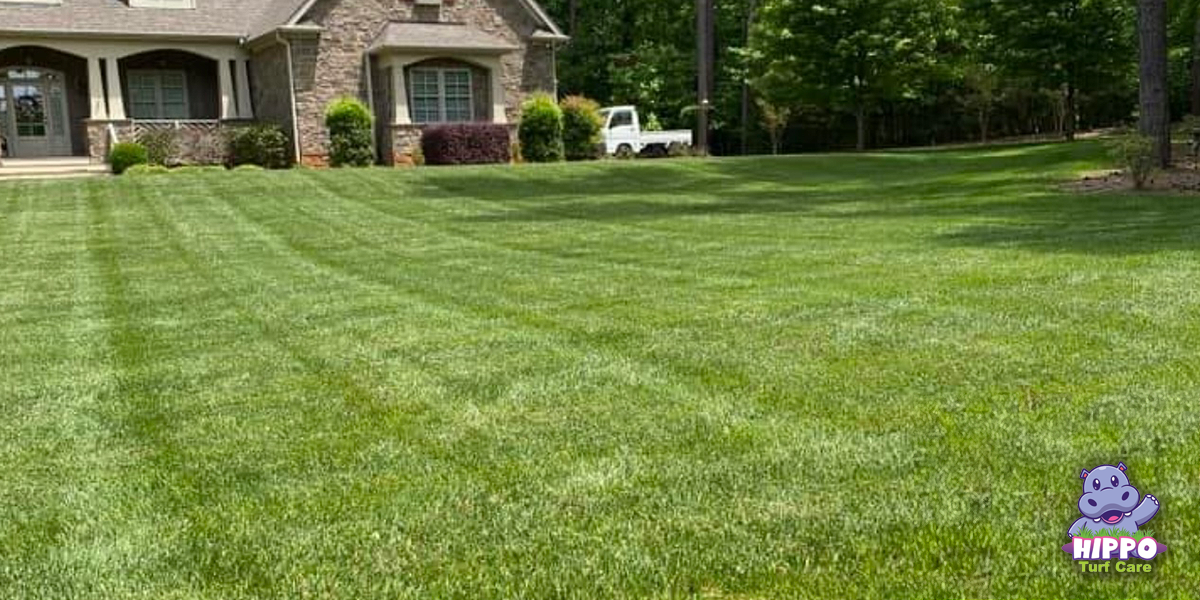 turf care experts