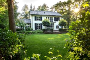 spring turf care