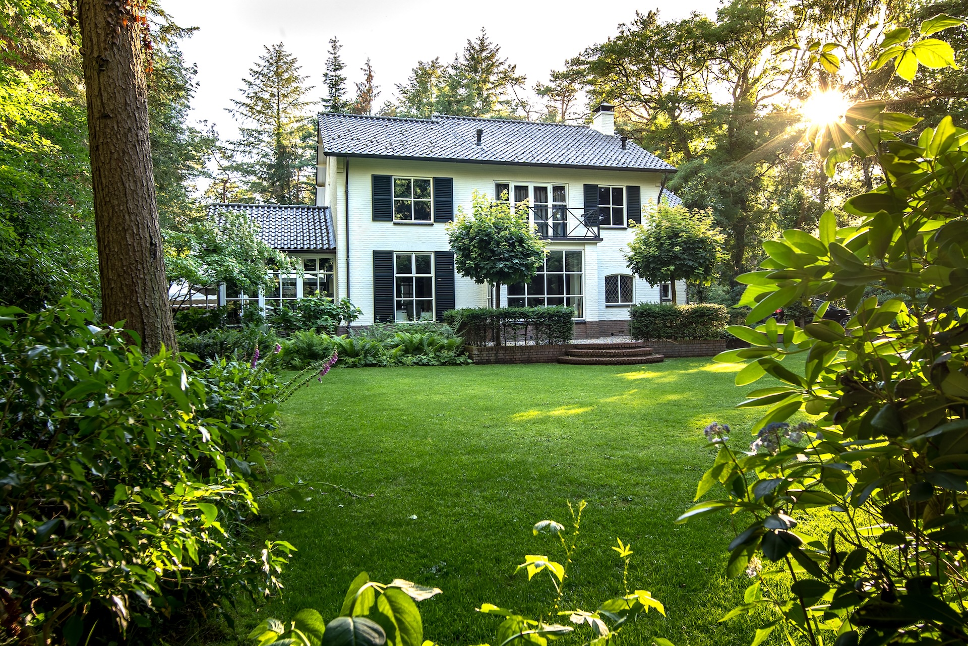 spring turf care