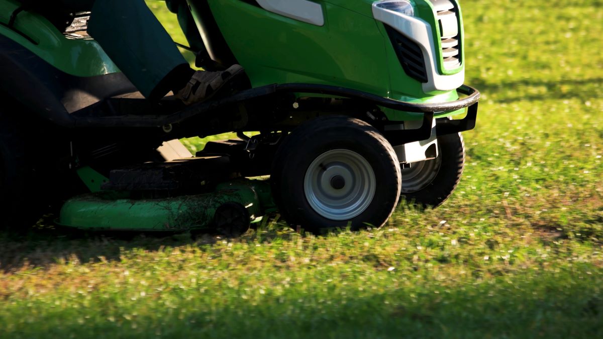 Bermuda Lawn