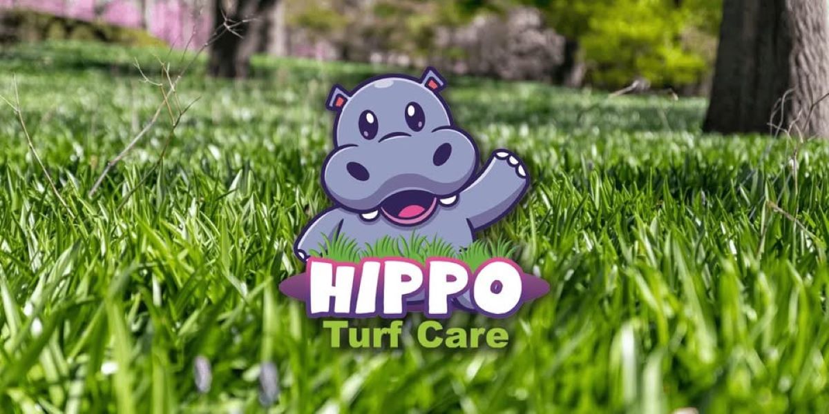 lawn care