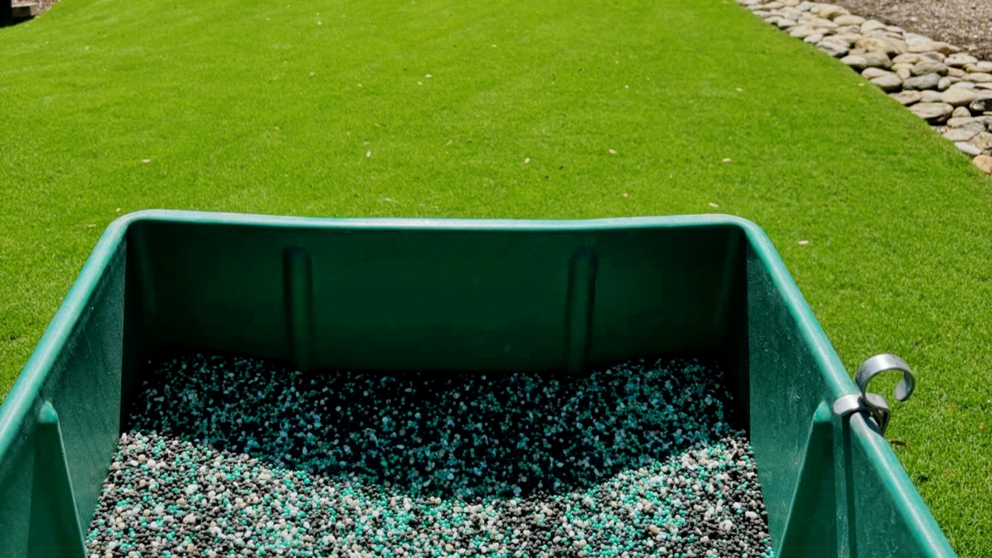 Weed and Feed vs. Fertilizer