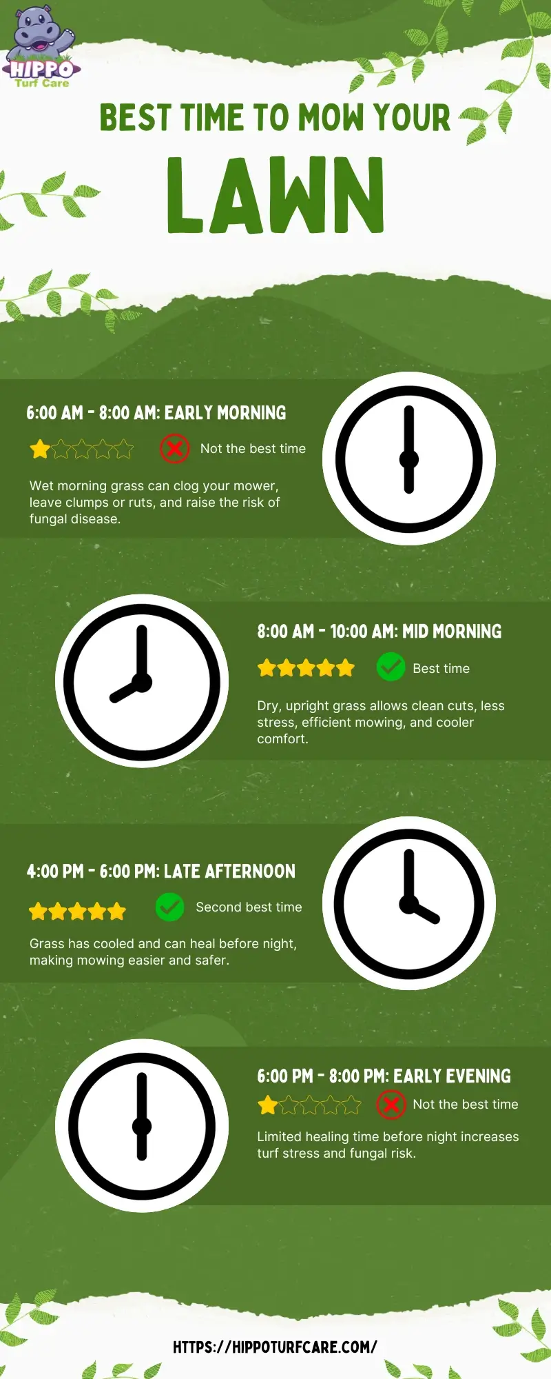 Best Time of Day to Mow Your Lawn 