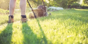 Best Time to Mow Your Lawn in York County