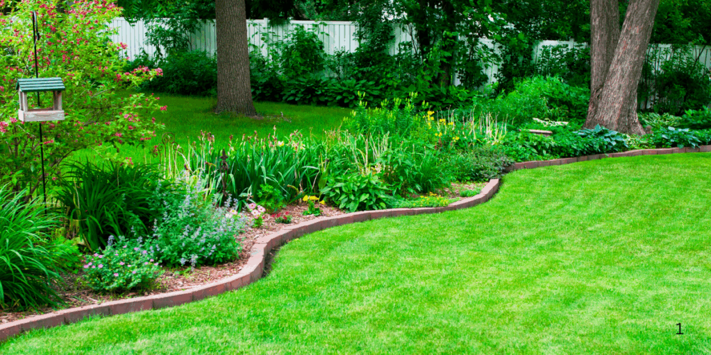lawn renovation