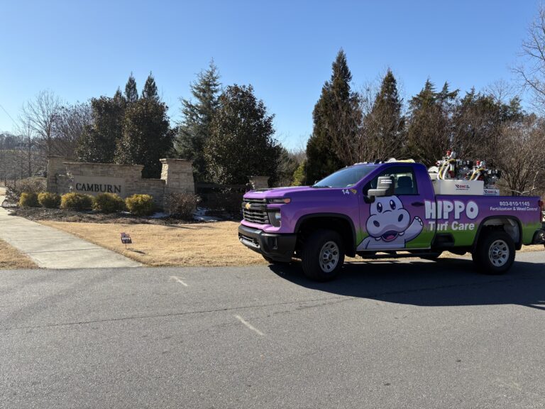 professional lawn care in Clover SC