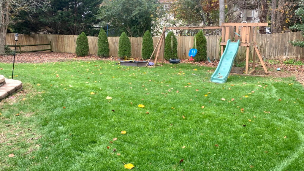 lawn renovation