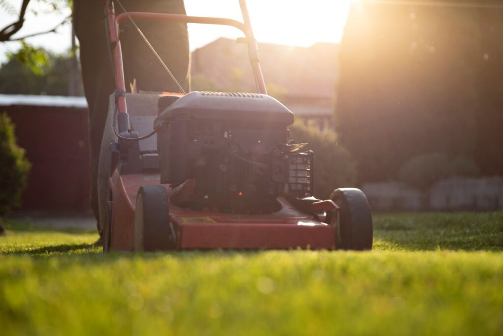 warm season lawn care tips