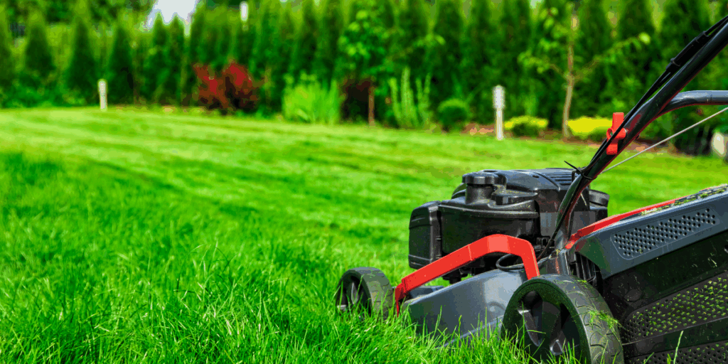 Preparing Your lawn after a wet Summer