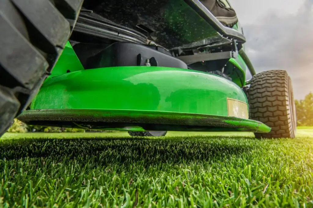 spring lawn care tips
