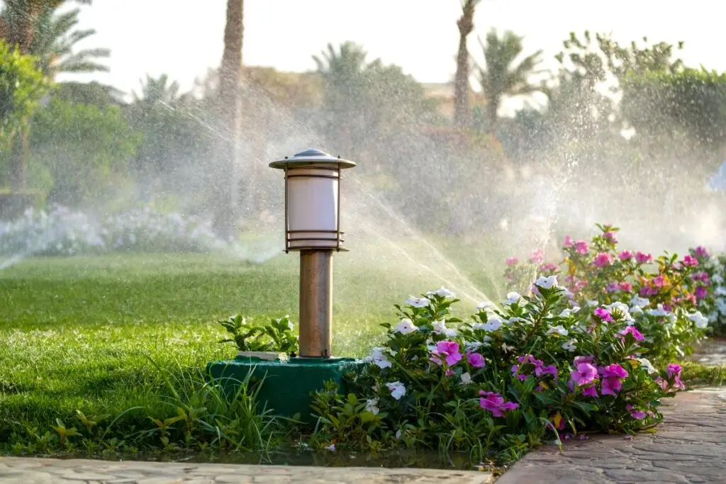 spring lawn care tips