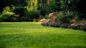 spring lawn care tips