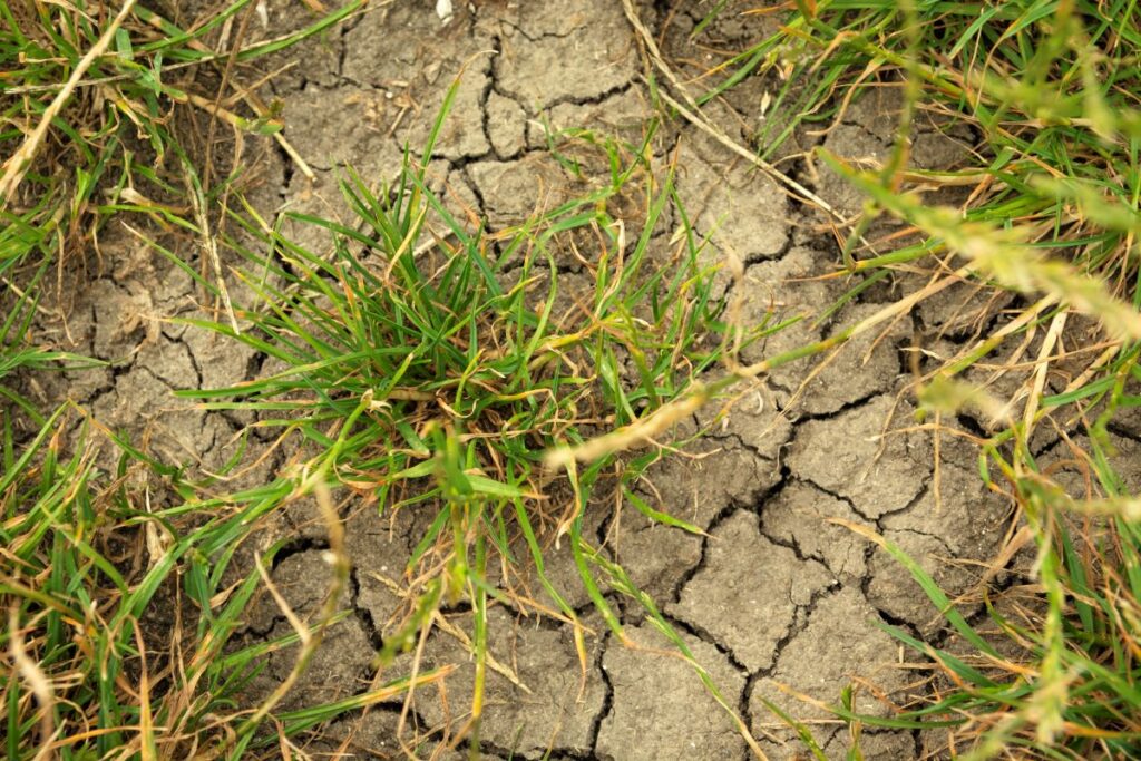 water restrictions york county sc