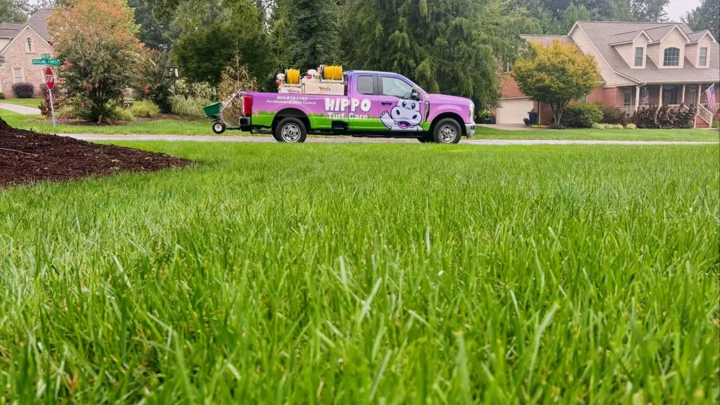 12 Round Lawn Care Program