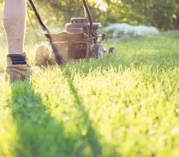 Best Time to Mow Your Lawn in York County