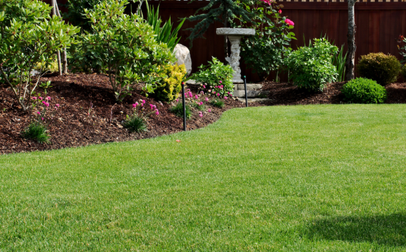 The Lawn Revival Formula Aeration + Overseeding + Watering + Fertilizer