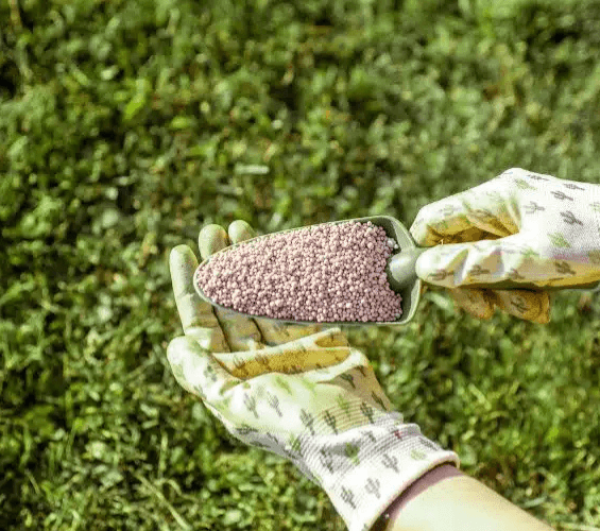 The Secret to a Lawn That Lasts Forever